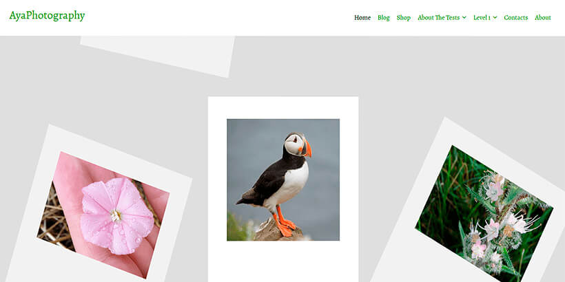 ayaphoto free photography wordpress themes