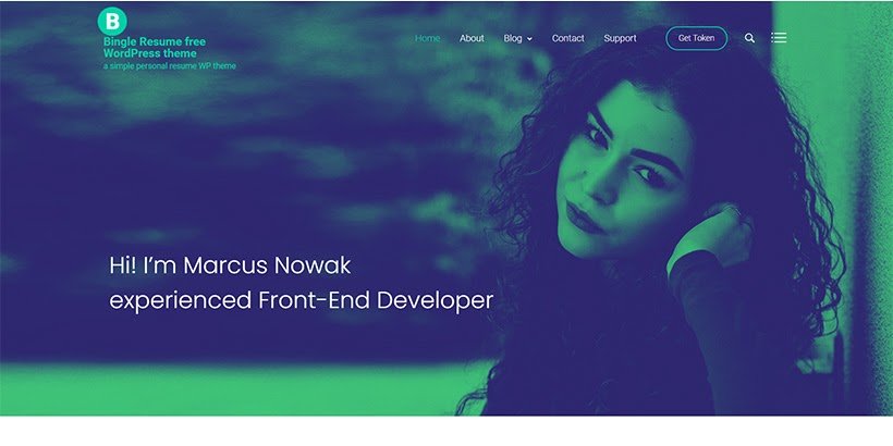 Bingle-Resume-free-WordPress-theme