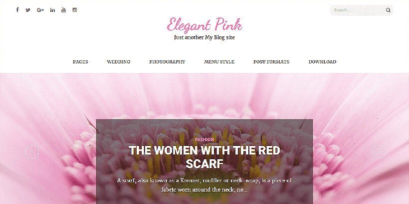 elegant free feminine wordpress themes