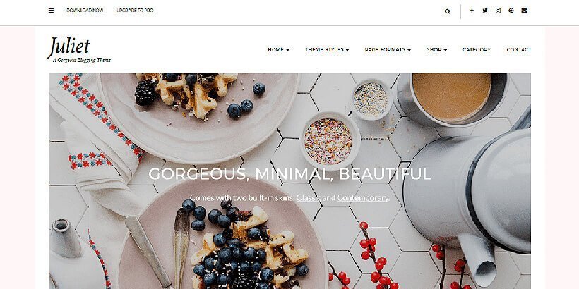 juliet free feminine wordpress themes