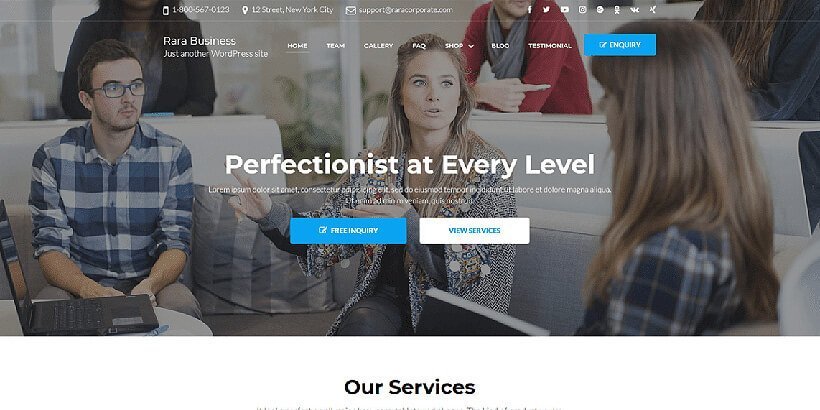 rara busineess free wordpress business themes