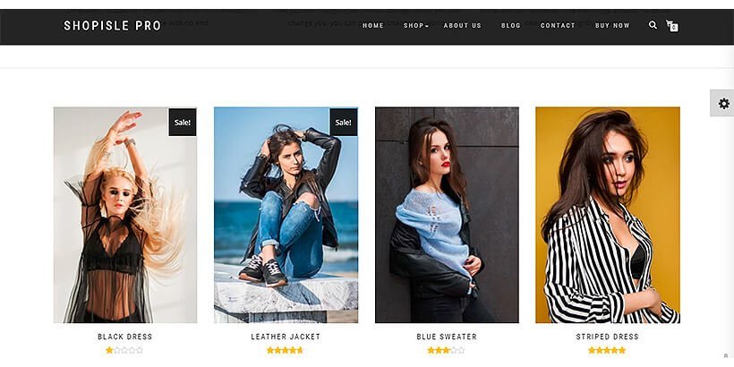 shopisle best woocommerce themes