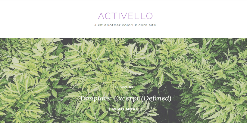 Activello-Best-WordPress-theme-for-fashion-blogs