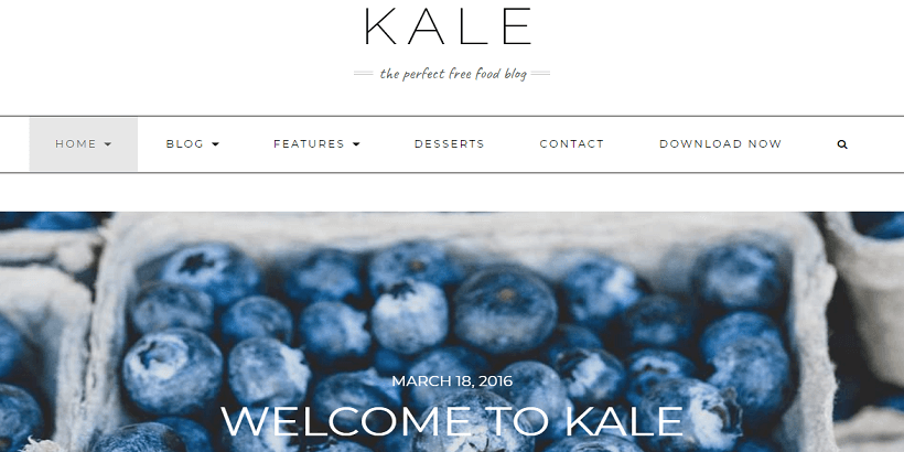 Kale-best-free-WordPress-theme-for-food-blogs